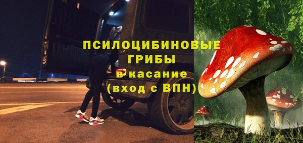 молекула духа Новодвинск