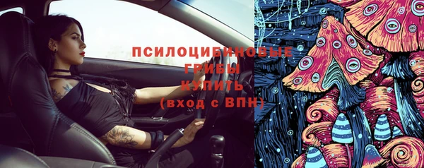 молекула духа Новодвинск