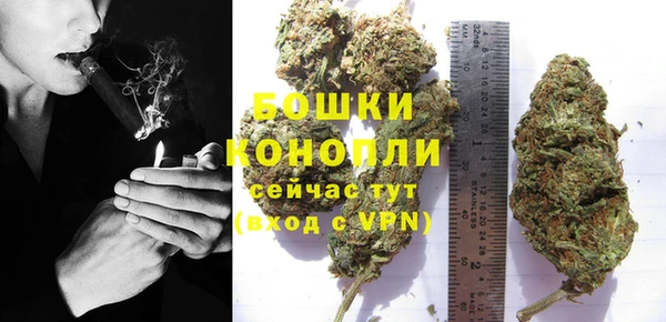 молекула духа Новодвинск