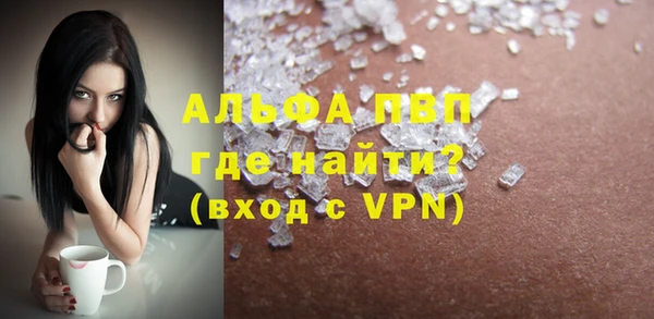 молекула духа Новодвинск
