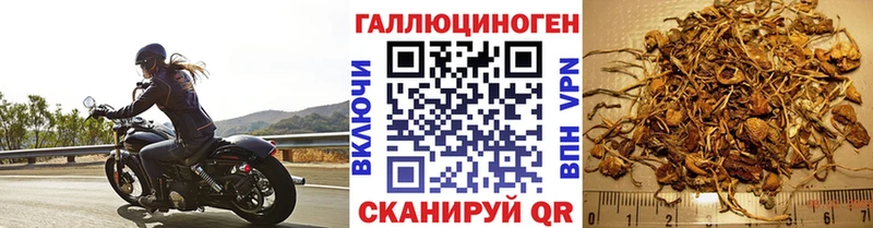 Галлюциногенные грибы мухоморы купить закладку Сосновка