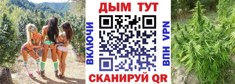 МАРИХУАНА семена  omg маркетплейс  Сосновка  купить наркотики цена 
